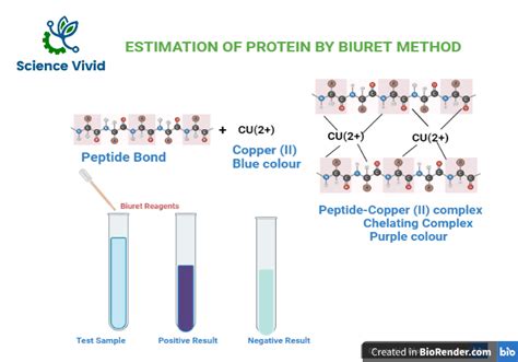 biuret reagent contains|2.5: Proteins.